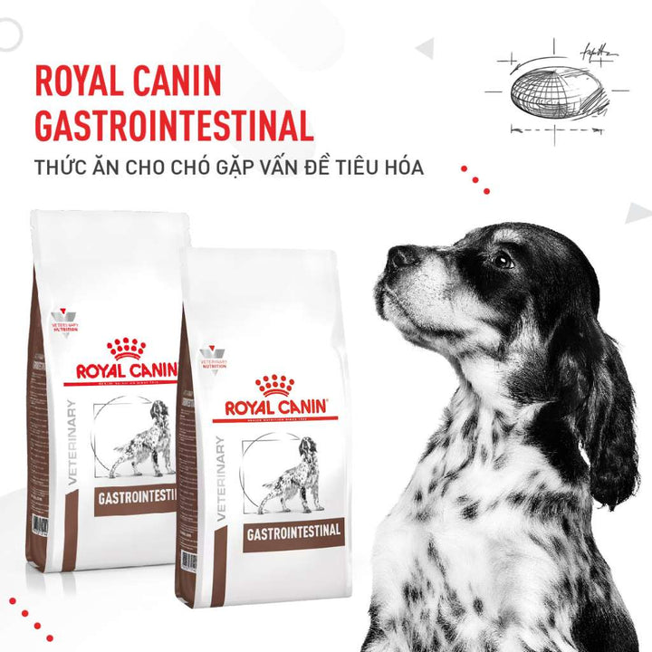 [2KG] Hạt Royal Canin Chó Gastrointestinal