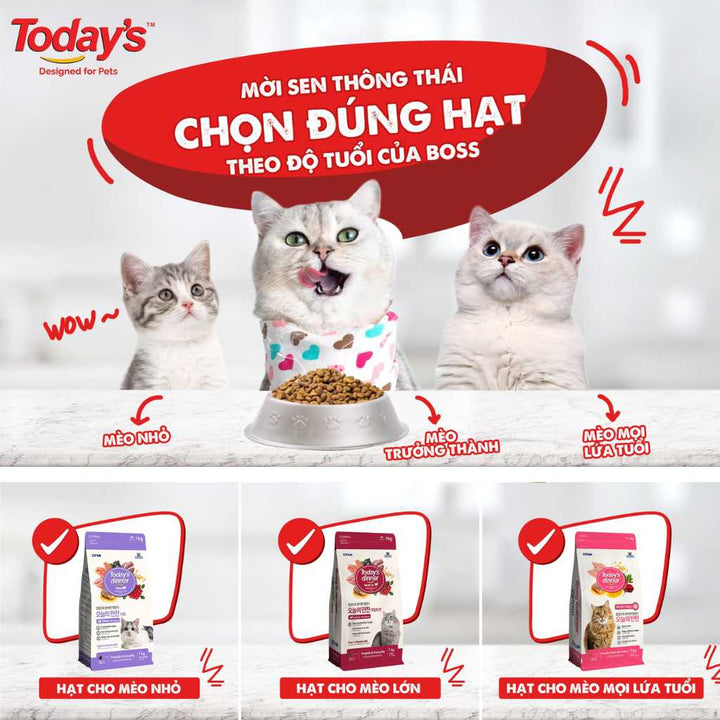 [1KG] Hạt Today's Dinner Mèo Mọi Lứa Tuổi