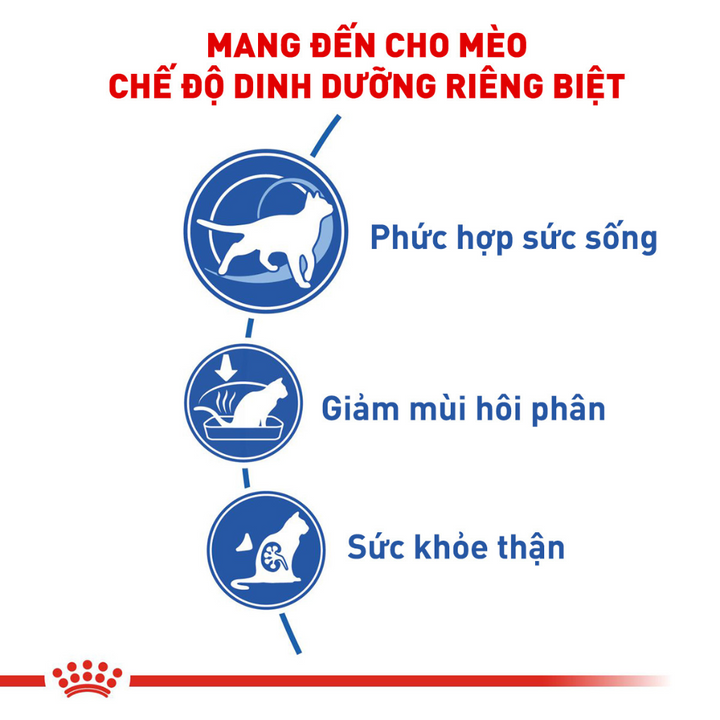 [400G - 2KG] Hạt Royal Canin Mèo Indoor