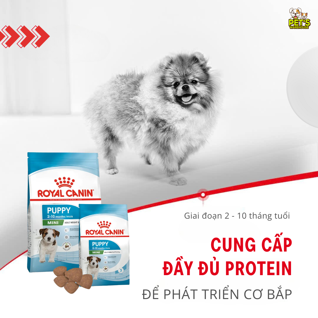 [800G - 2KG] Royal Canin Mini Puppy