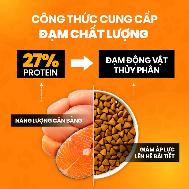 Hạt Mềm Zenith HairBall Care Cho Mèo, Hỗ Trợ Tiêu Búi Lông, Túi 1.2Kg