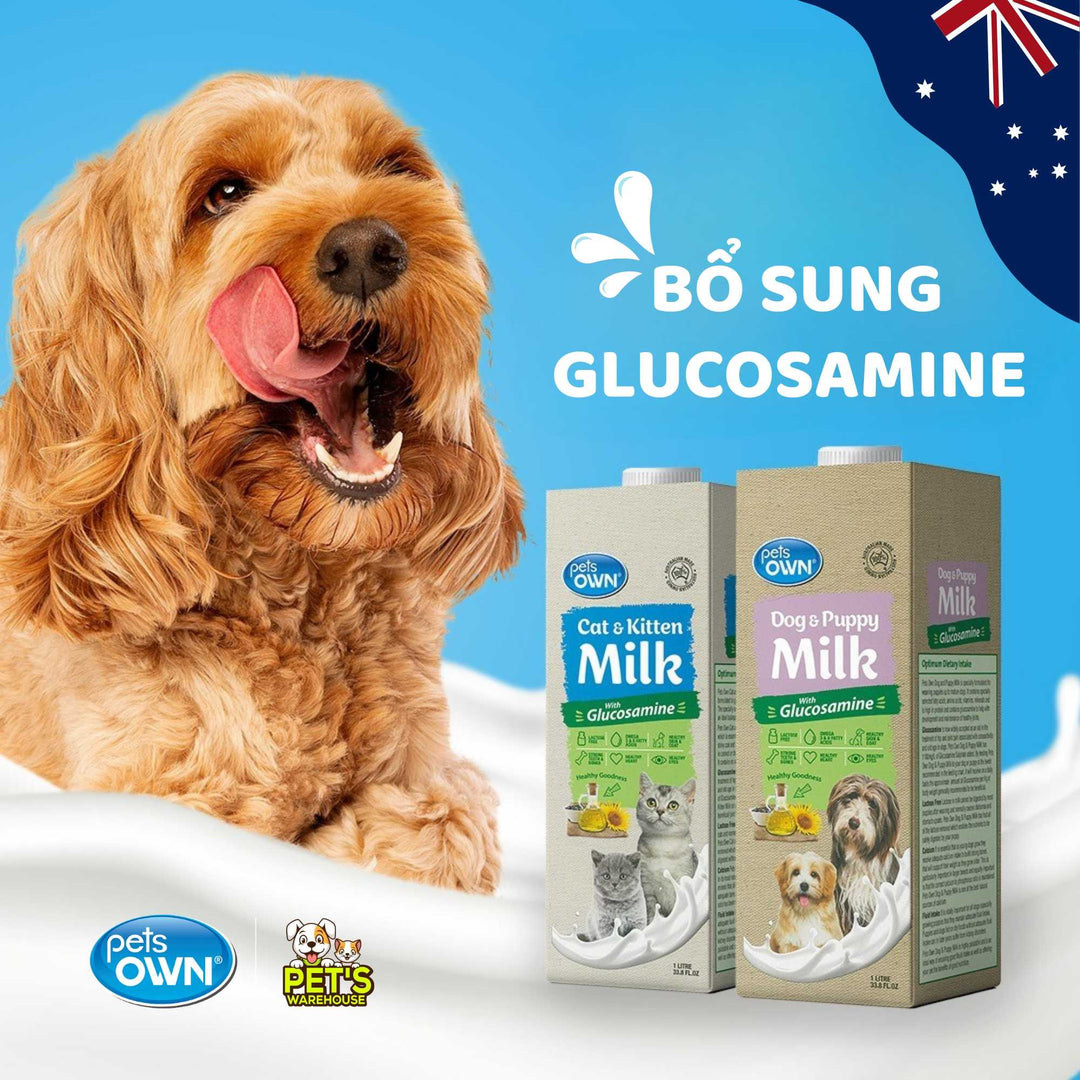 Sữa cho chó mèo Pets Own, nhập khẩu Úc, bổ sung Glucosamine, 1L