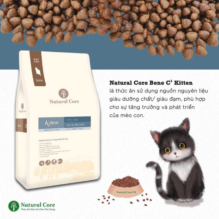 [400G - 2KG] Hạt Hữu Cơ Natural Core Mèo Con