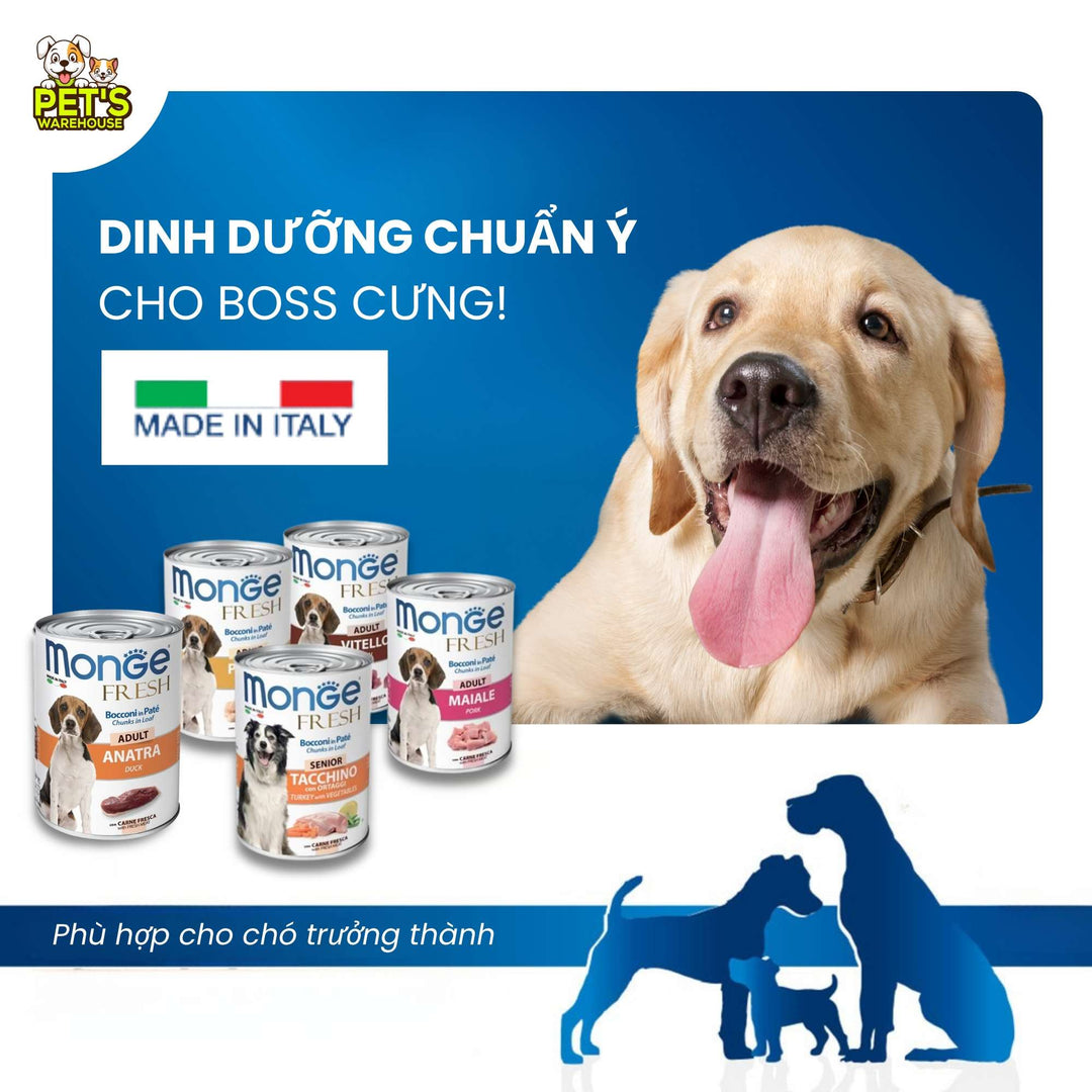 Pate Monge Cho Chó Trưởng Thành Nhiều Vị , Lon 400g