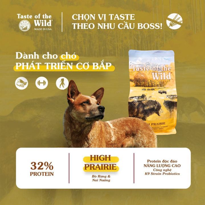 [500G] Hạt Cho Chó Taste of the Wild Các Loại, Chọn Vị Theo Nhu Cầu Boss