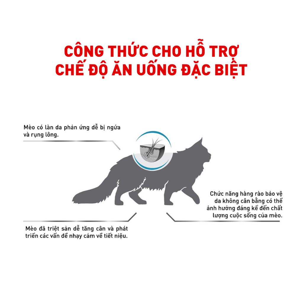 [1.5KG] Hạt Royal Canin Mèo Skin & Coat