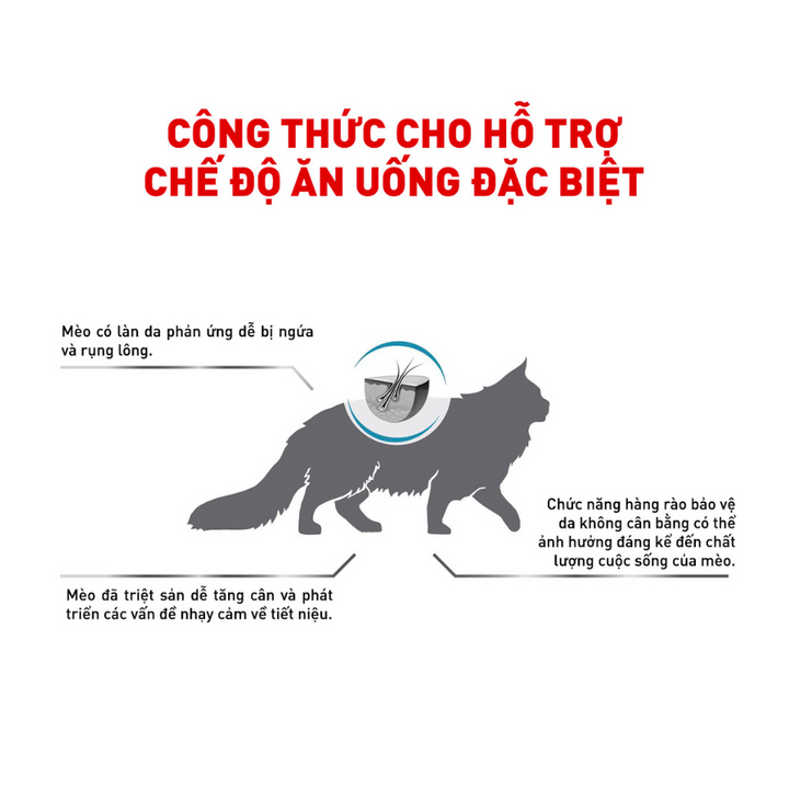 [1.5KG] Hạt Royal Canin Mèo Skin & Coat