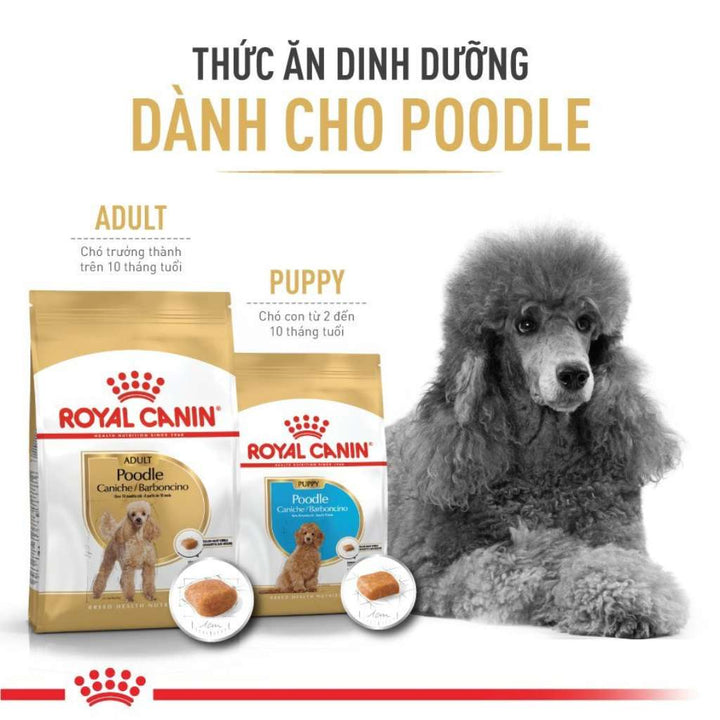 [500G-1.5KG] Royal Canin Poodle