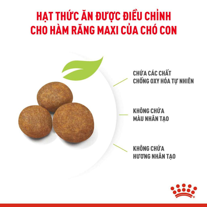 [1KG-4KG] Hạt Royal Canin Maxi Chó