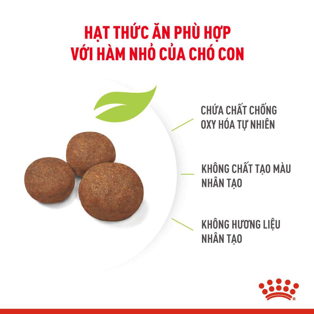 [1KG-4KG] Hạt Royal Canin Medium Chó | Pet's Warehouse