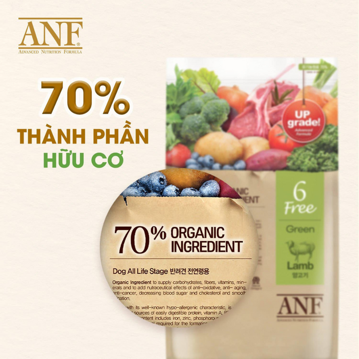 [2KG - 6KG] Hạt Anf 6Free Chó Trên 6 Tháng Tuổi