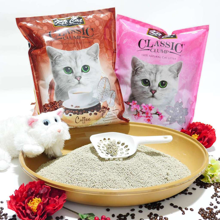 [10L] Cát Đất Sét Kit Cat Mèo