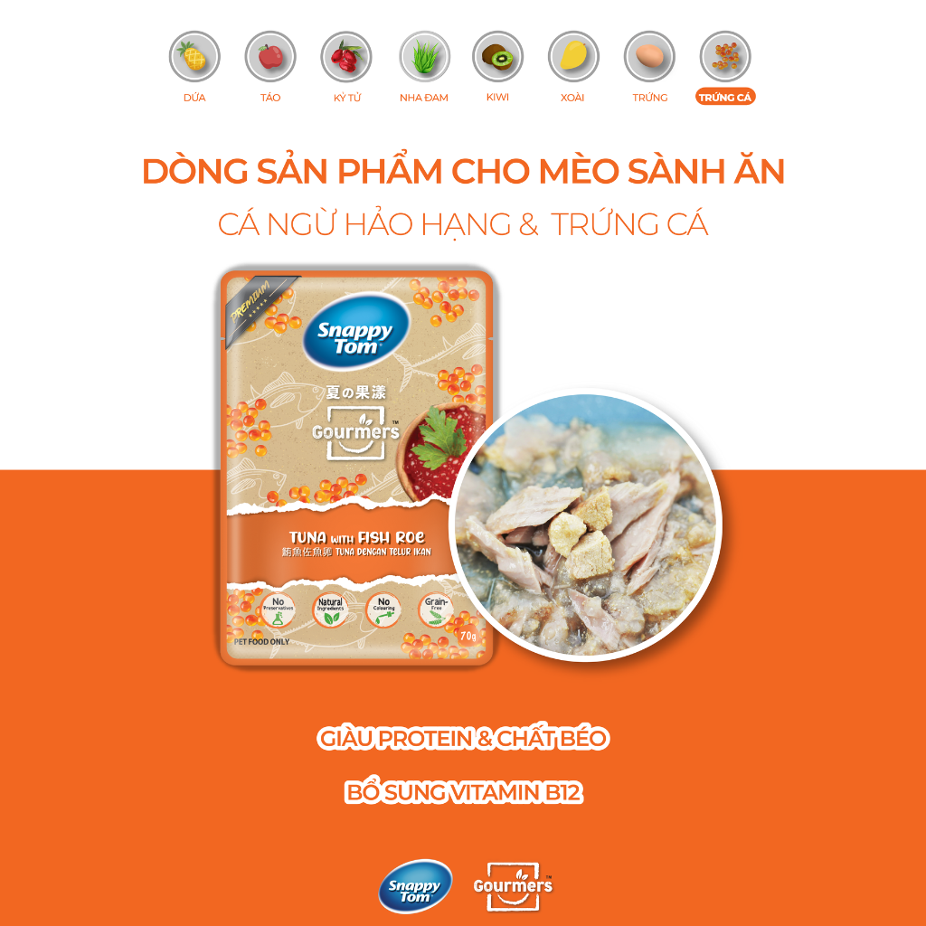 Pate Snappy Tom Trái Cây Mèo Gói 70G