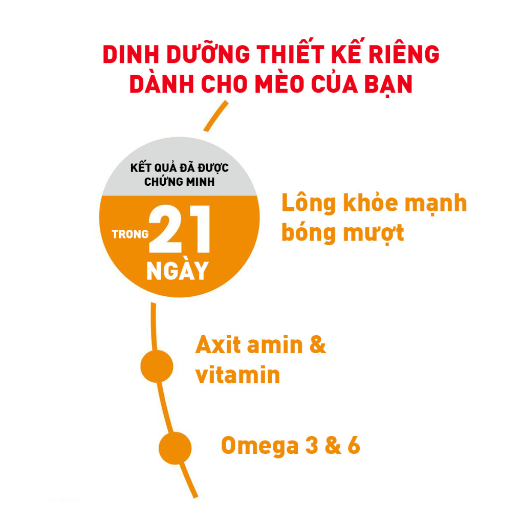 [400G - 2KG] Hạt Royal Canin Mèo Hair & Skin