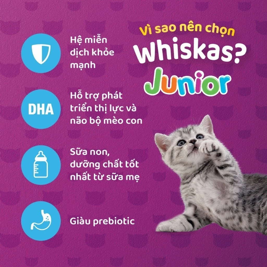 [1.1KG] Hạt Whiskas Mèo Con 2-12 Tháng
