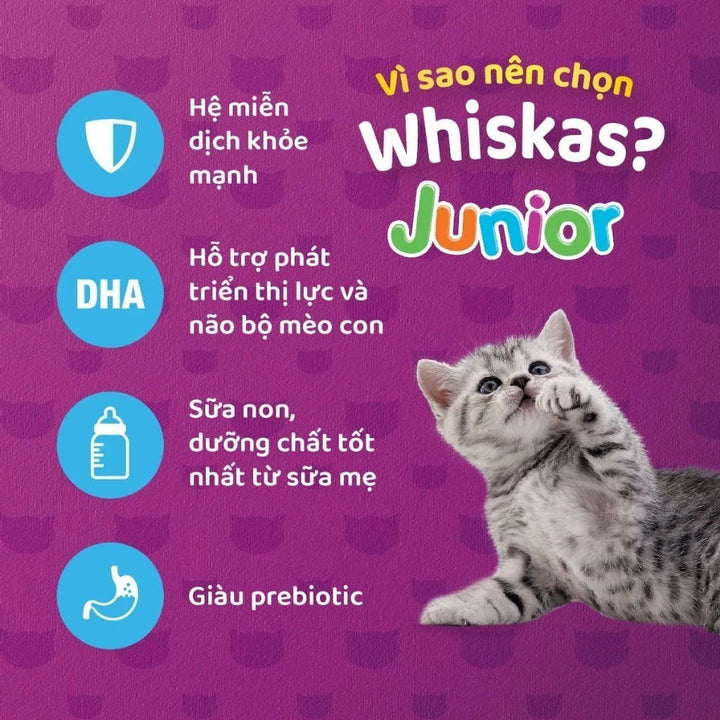 [1.1KG] Hạt Whiskas Mèo Con 2-12 Tháng