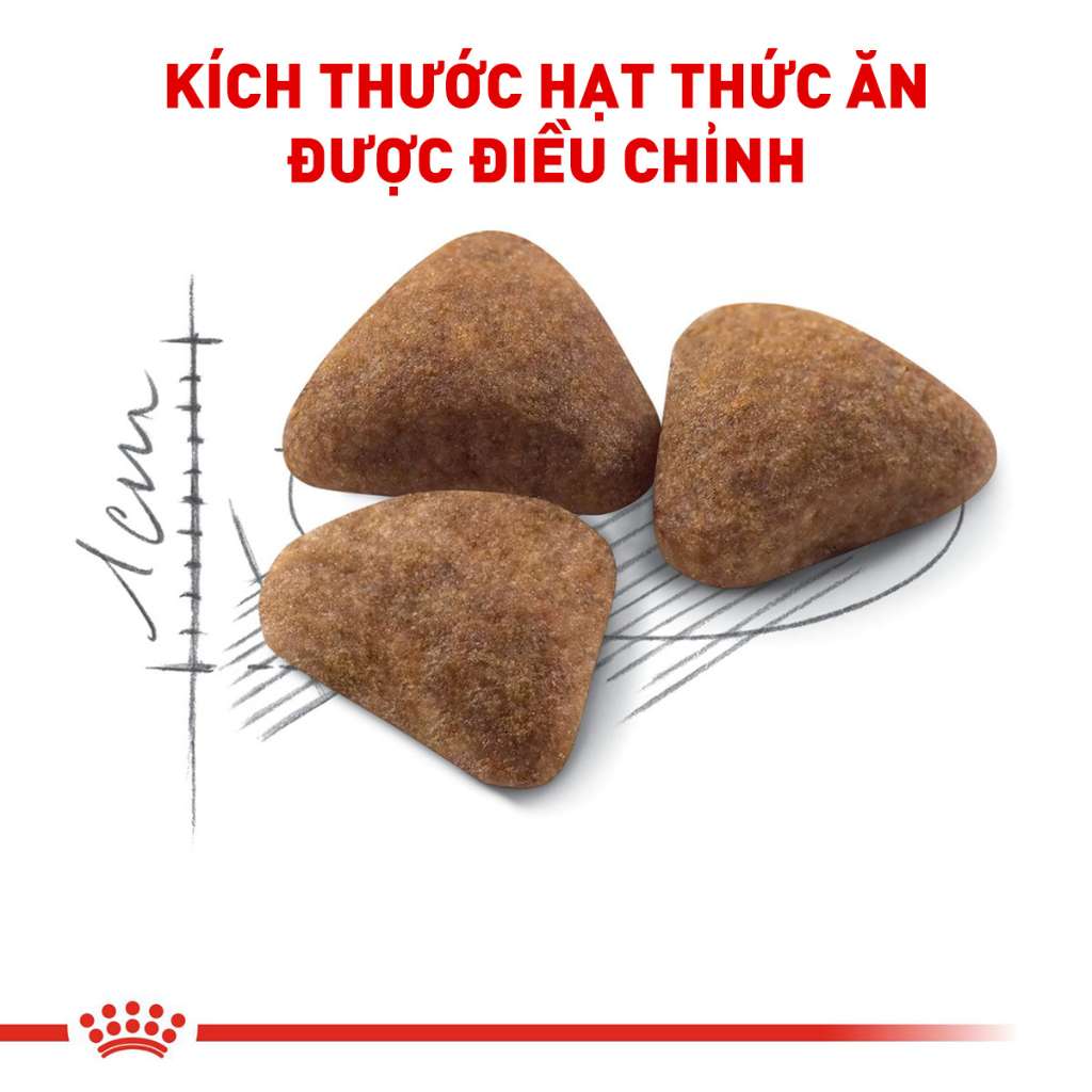 [400G - 2KG] Hạt Royal Canin Mèo Indoor