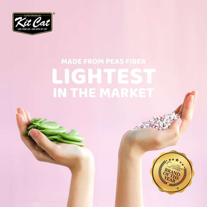 [7L] Cát Đậu Tuyết Snow Peas Kit Cat Mèo