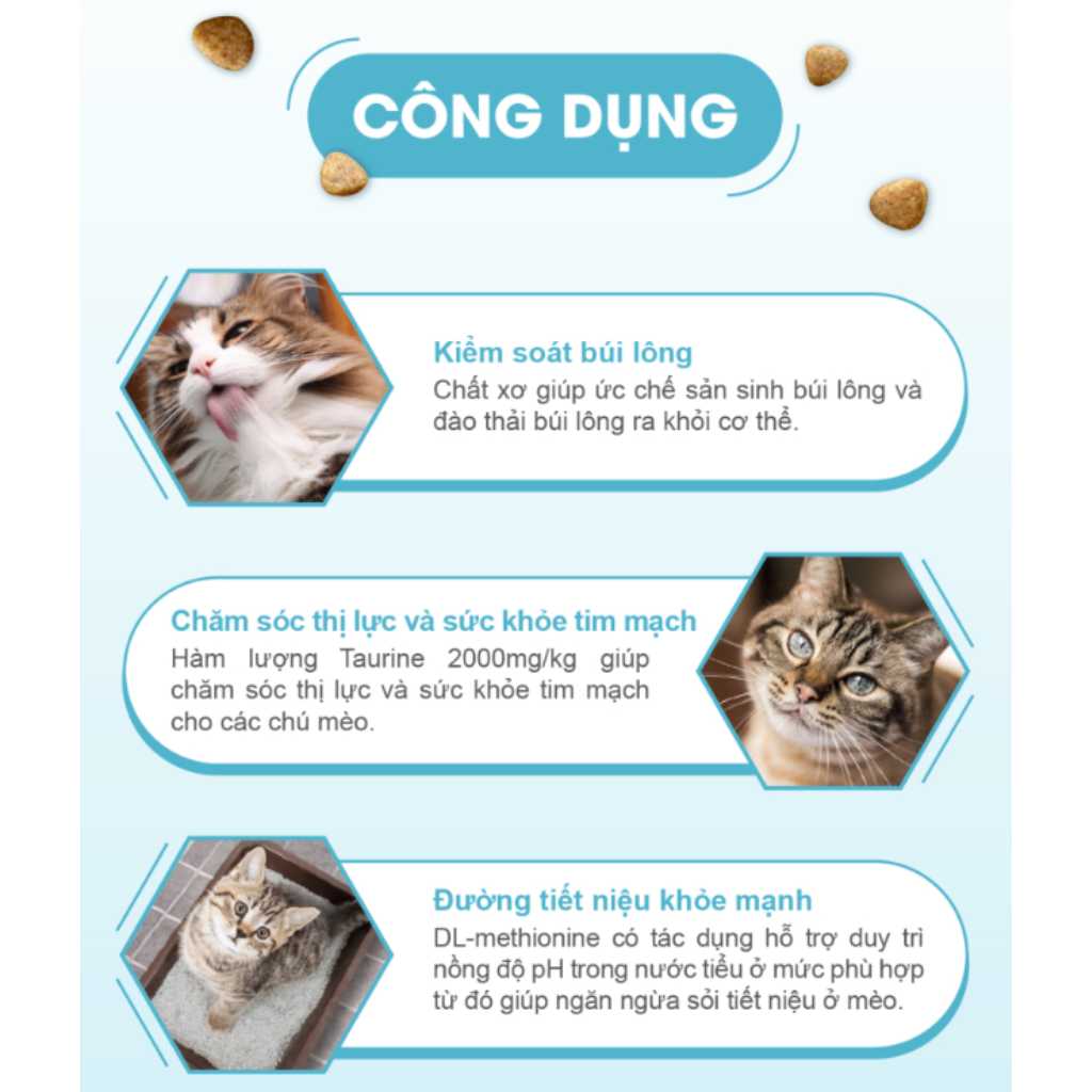 [2KG] Hạt Catsrang Mèo Lớn - Mèo Con