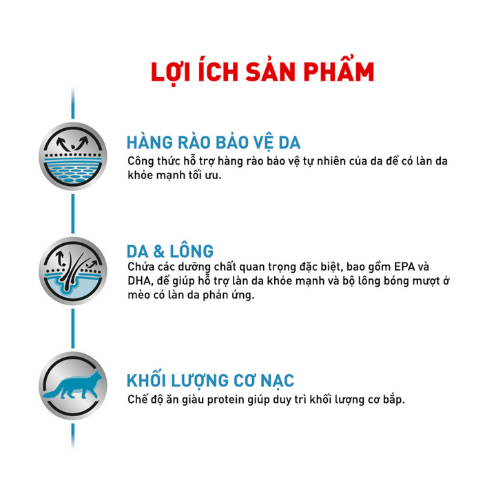[1.5KG] Hạt Royal Canin Mèo Skin & Coat