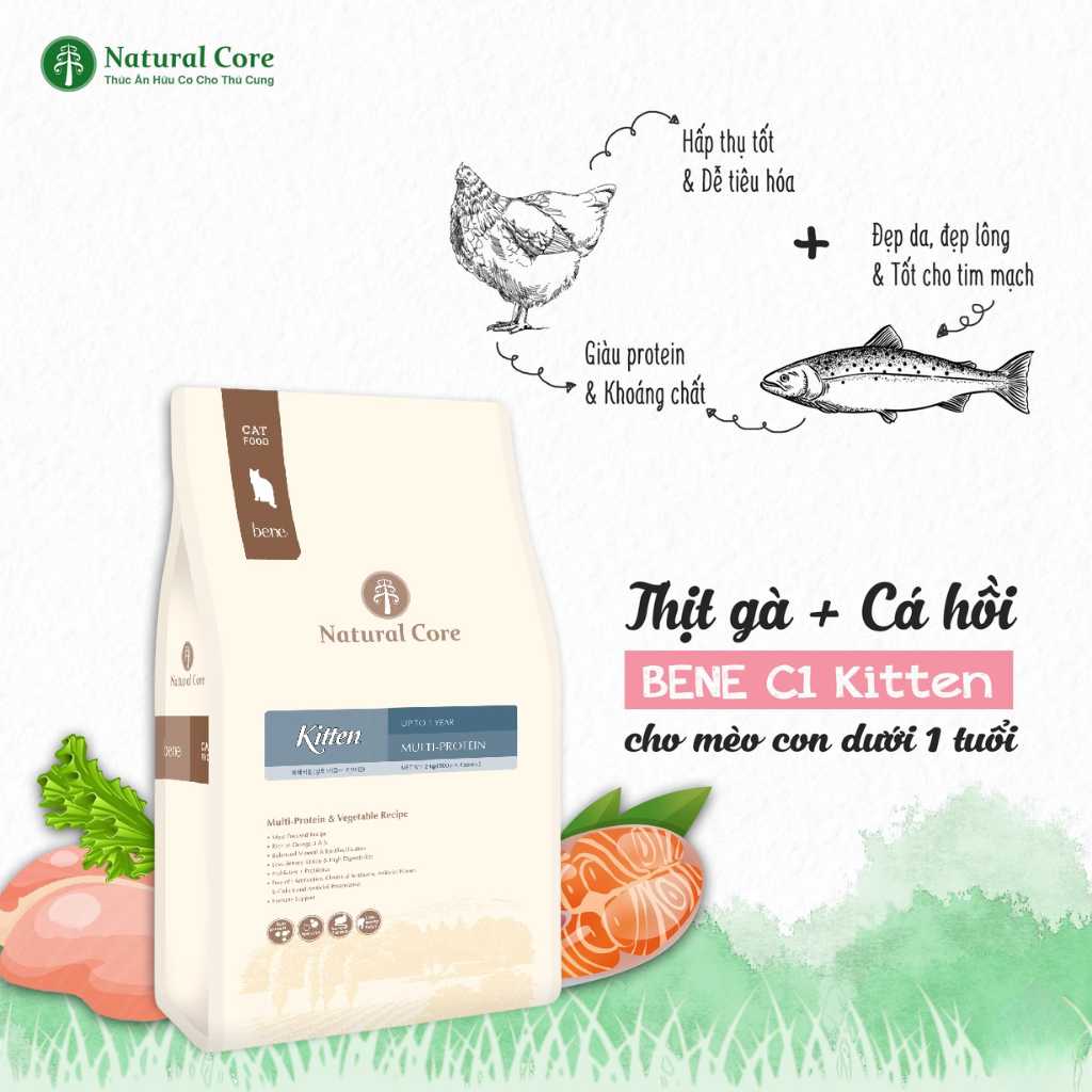 [400G - 2KG] Hạt Hữu Cơ Natural Core Mèo Con