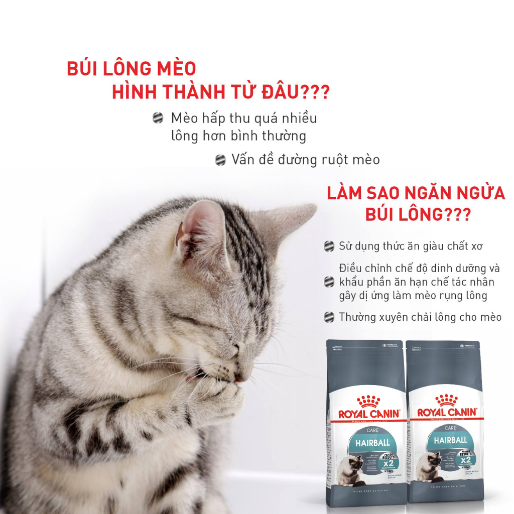 [400G-2KG] Royal Canin HairBall Cat Food