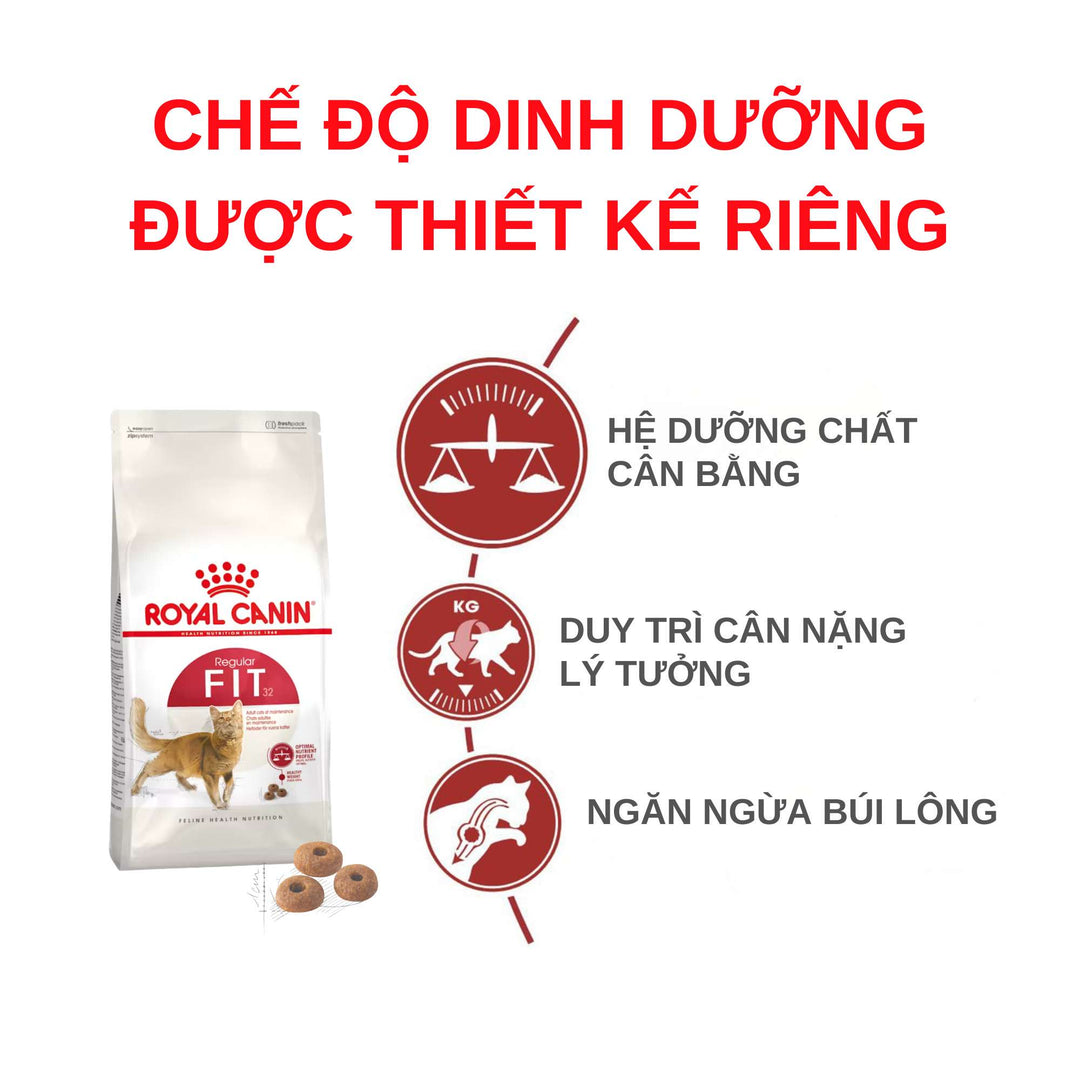 [400G - 2KG] Hạt Royal Canin Mèo Fit 32