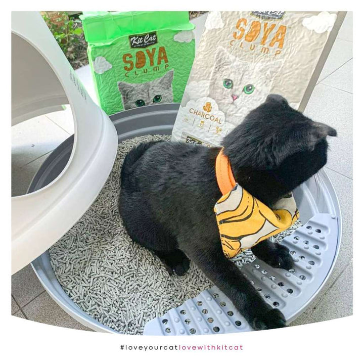 [7L] Cát Đậu Nành Kit Cat Mèo | Pet's Warehouse