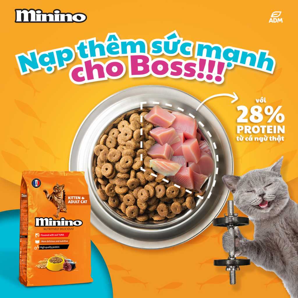 [480G - 1.3KG] Hạt Minino Tuna Mèo Mọi Lứa Tuổi | Pet's Warehouse