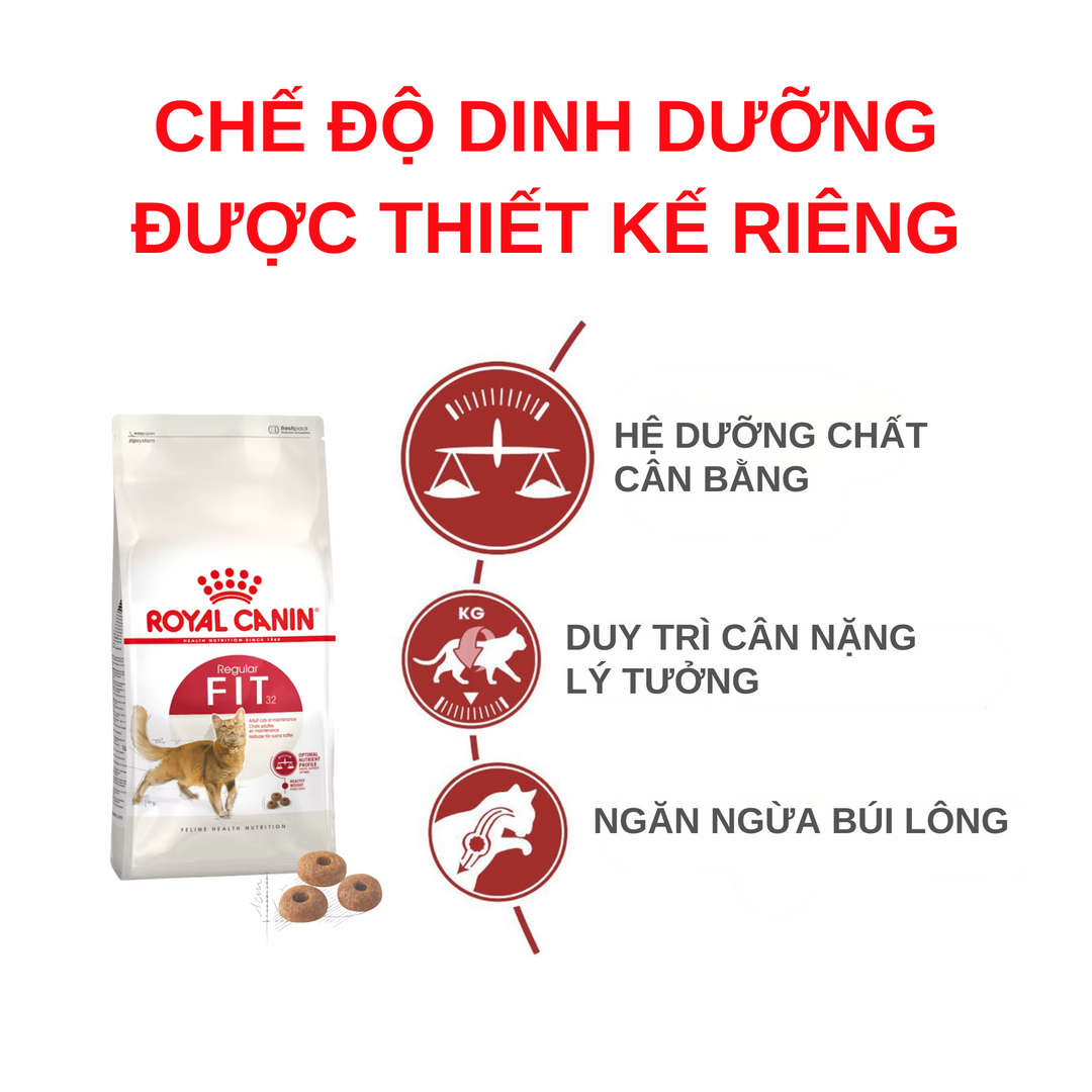 [400G - 2KG] Hạt Royal Canin Mèo Fit 32