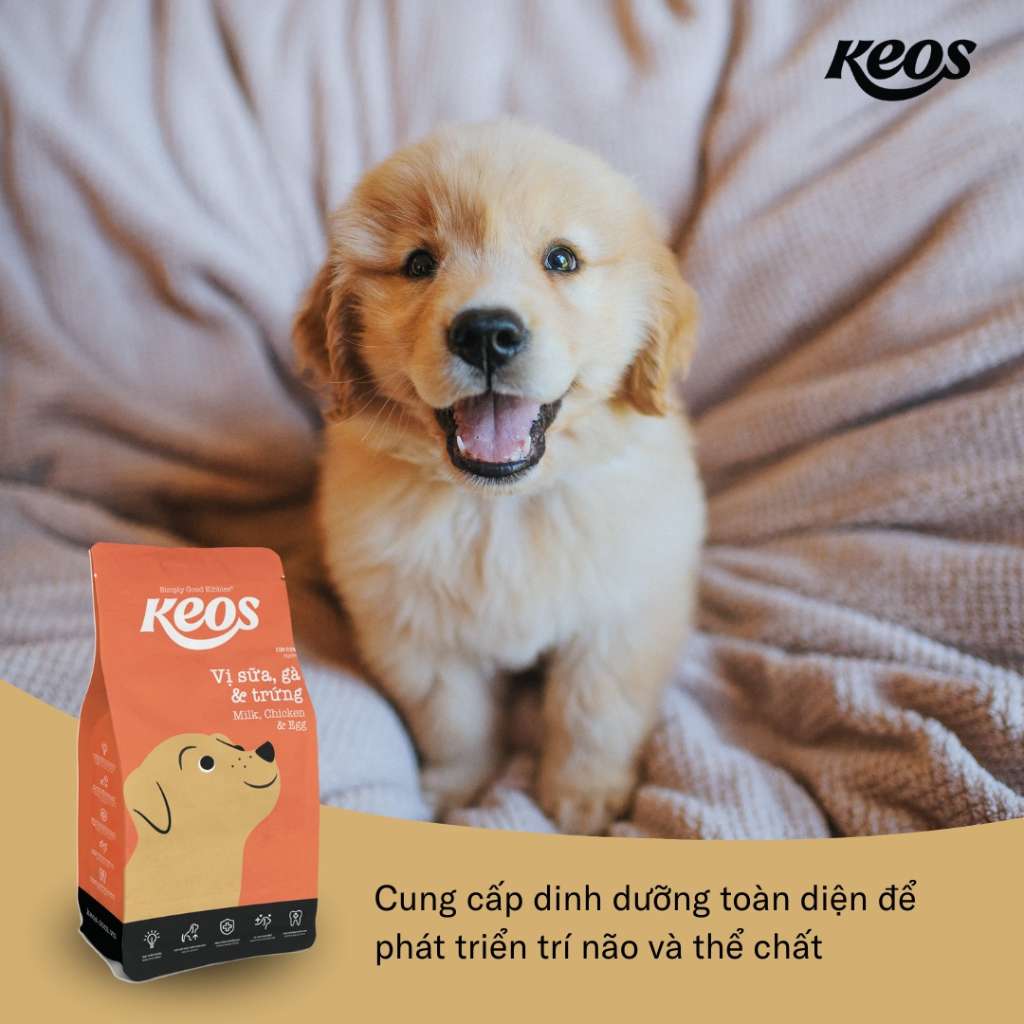 [400G] Hạt Keos Chó Mọi Lứa Tuổi | Pet's Warehouse