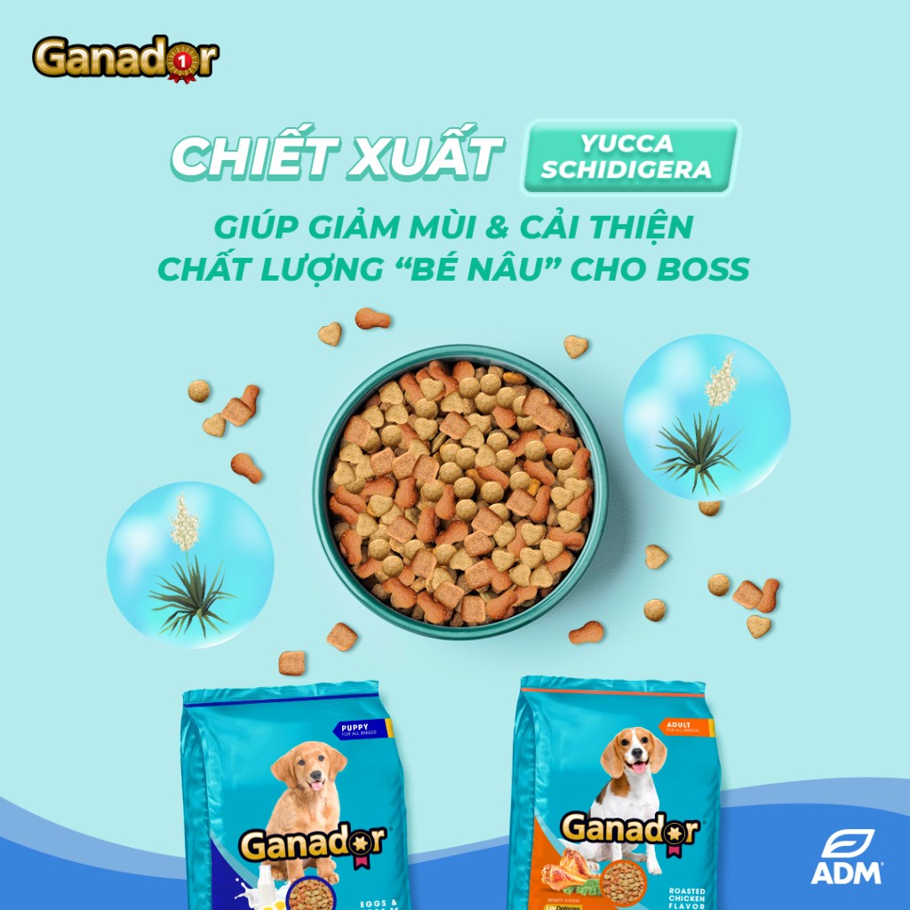 [Combo 4 Gói] Hạt Ganador Cho Chó Mọi Lứa Tuổi – Nhiều Vị Ngon, Túi 400g