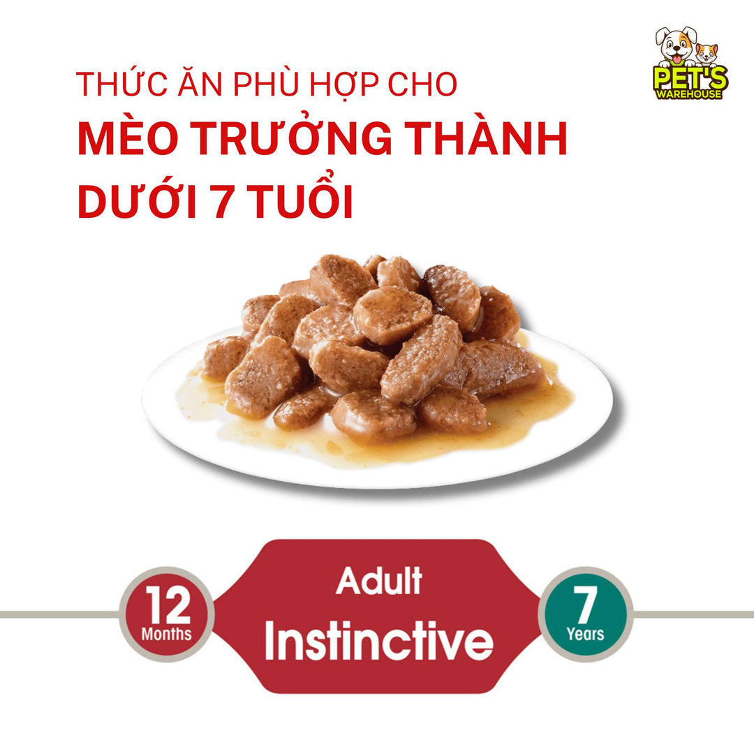 [Combo 3 - 12 Gói] Gói Pate Mèo Trưởng Thành Royal Canin Instinctive Gravy, Gói 85g