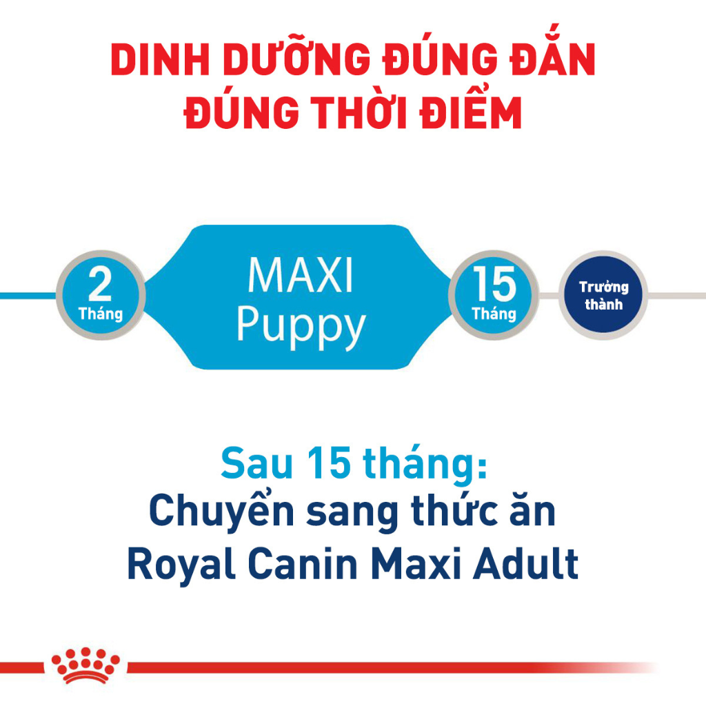 [1KG-4KG] Hạt Royal Canin Maxi Chó