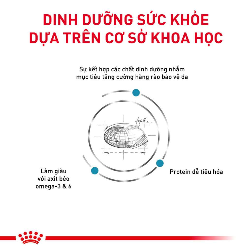 [2KG] Hạt Royal Canin Chó Skin Care | Pet's Warehouse
