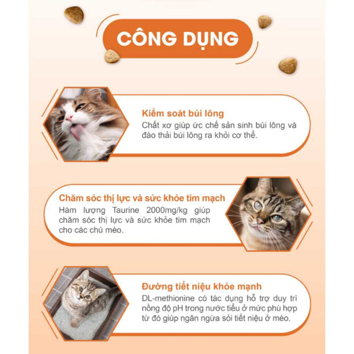 [2KG-5KG] Hạt Catsrang Mèo Mọi Lứa Tuổi