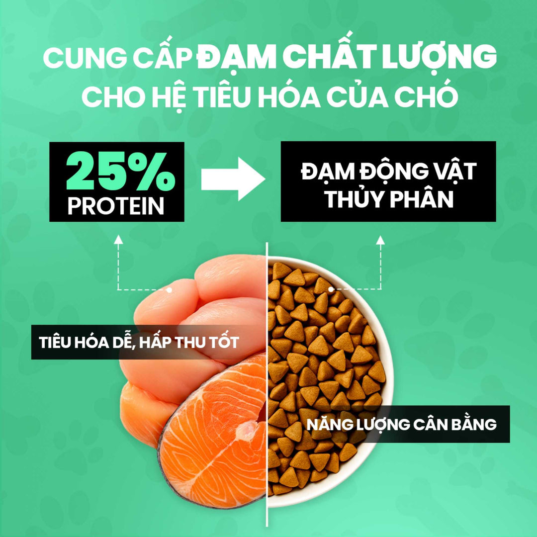 hat-cho-Fine-Dining-pets-warehouse