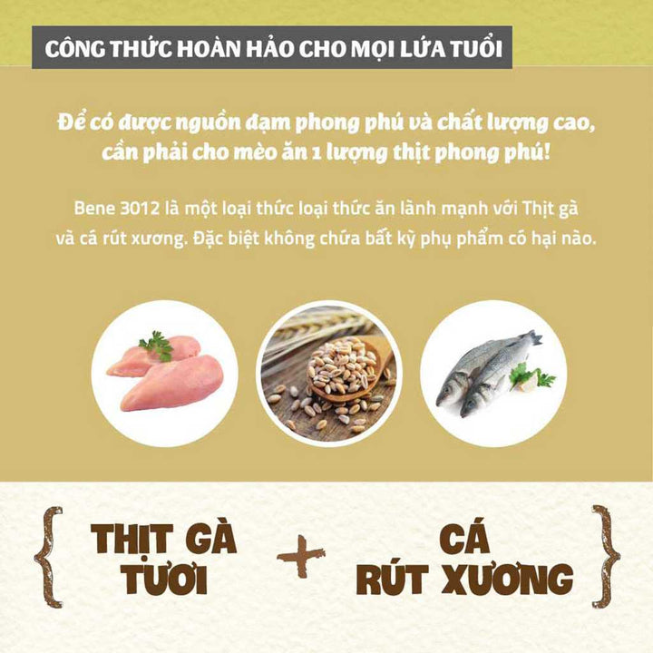 [10KG] Hạt Hữu Cơ Natural Core Mèo Trưởng Thành