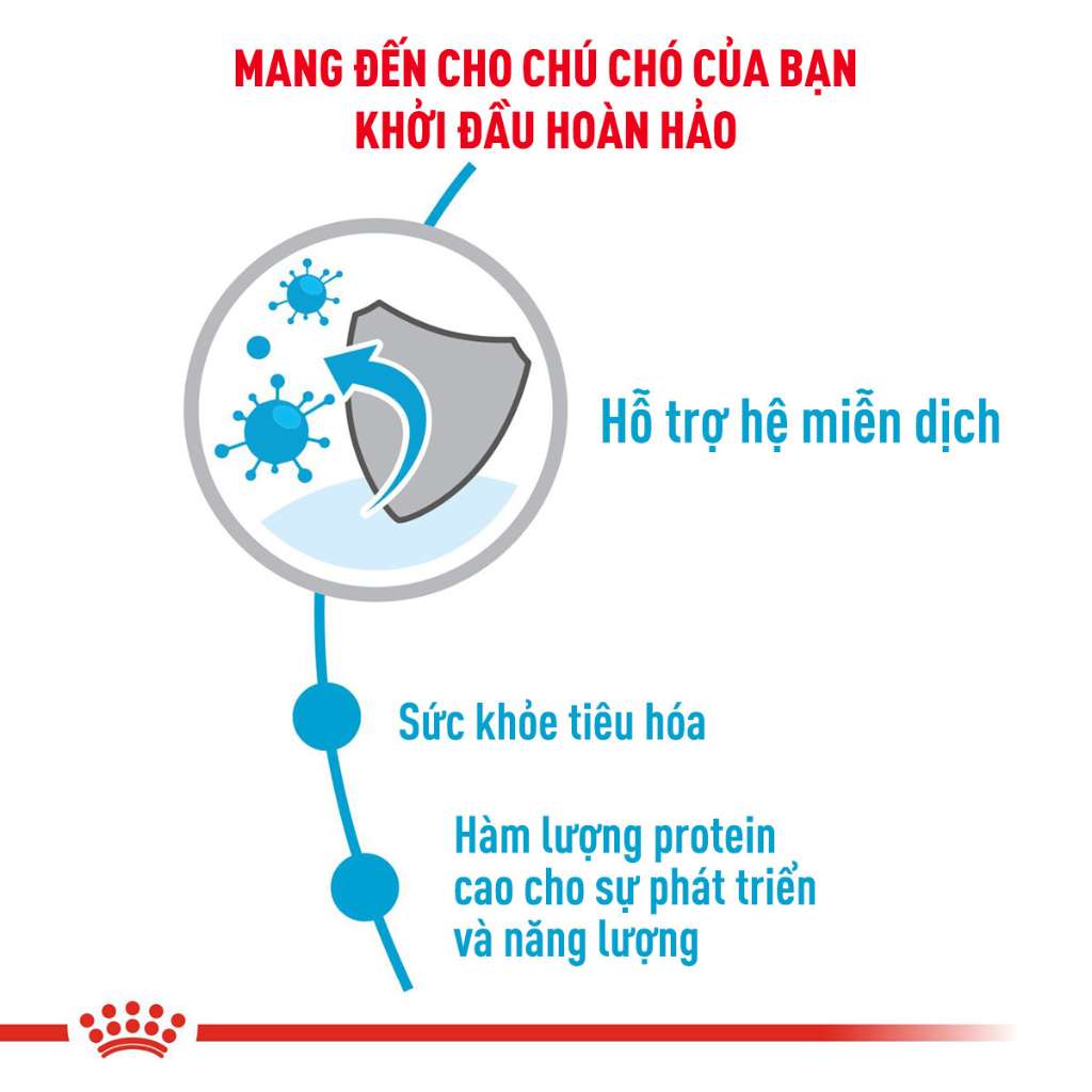 [1KG-4KG] Hạt Royal Canin Medium Chó | Pet's Warehouse