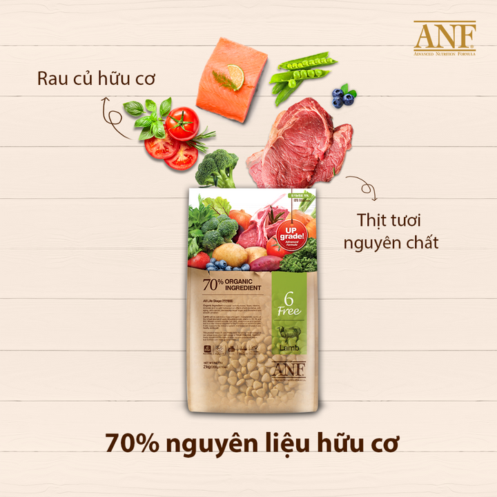[2KG - 6KG] Hạt Anf 6Free Chó Trên 6 Tháng Tuổi