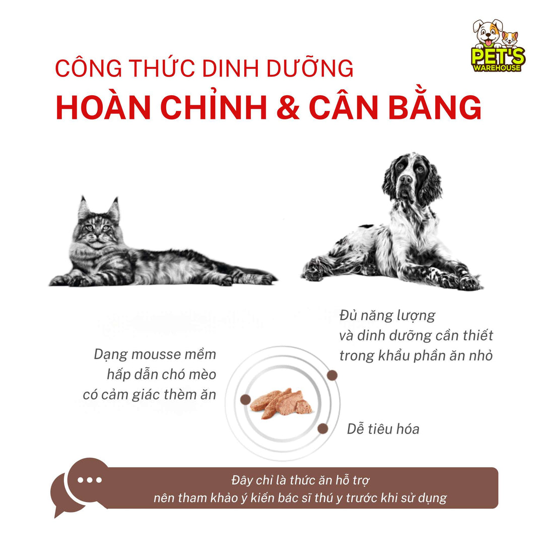 Pate Royal Canin Recovery Cho Chó Mèo, Lon 195g