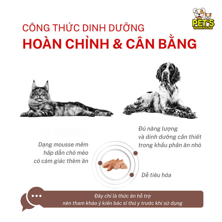 Pate Royal Canin Recovery Cho Chó Mèo, Lon 195g