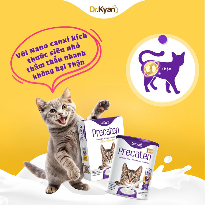 [100G - 400G] Sữa Bột Dr.Kyan Predogen Gold Cho Mèo
