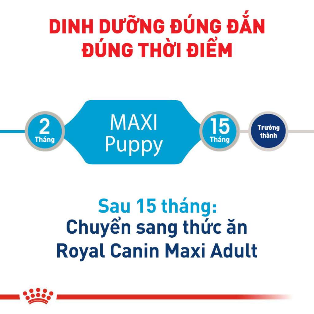 [1KG-4KG] Hạt Royal Canin Maxi Chó