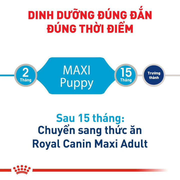 [1KG-4KG] Hạt Royal Canin Maxi Chó