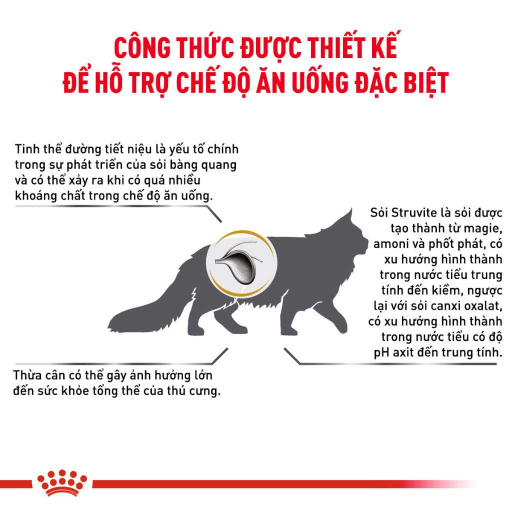 [1.5KG]Hạt Royal Canin Mèo Urinary S/O