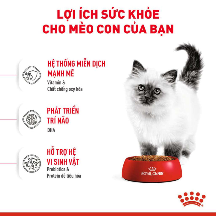 [400G - 2KG] Royal Canin Kitten