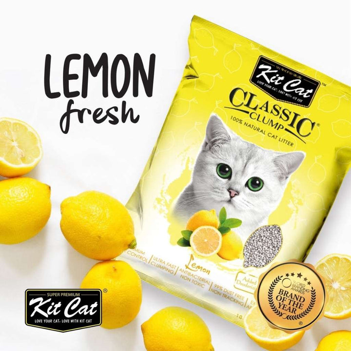 [10L] Cát Đất Sét Kit Cat Mèo