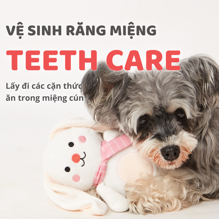 Đồ Chơi Fofos Chó Mèo Gấu Bông