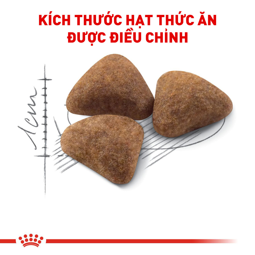 [400G - 2KG] Hạt Royal Canin Mèo Indoor